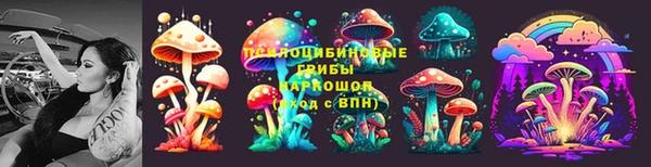прущие крисы Алзамай