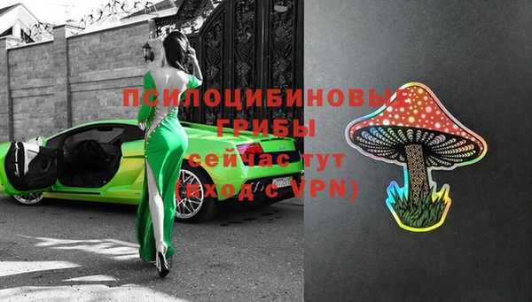стафф Алексин