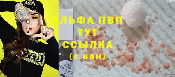 стафф Алексин
