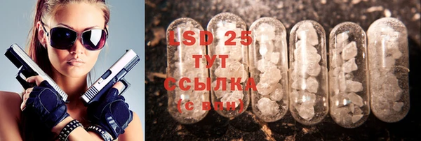 стафф Алексин
