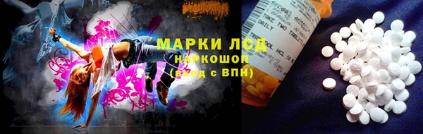 стафф Алексин